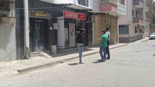 Kediyi pompalı tüfekle öldürdü serbest kaldı