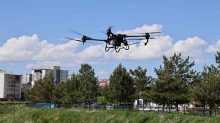 Kene kabusuna dronlu önlem