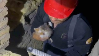 Kırıkkalede havalandırma boşluğuna düşen yavru kediler kurtarıldı