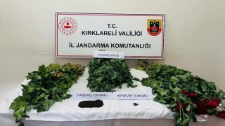 Kırklarelinde uyuşturucu operasyonu: 8 gözaltı