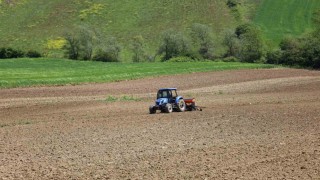 Kocaelide mısır tohumları toprakla buluşuyor