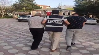 Köpek dövüştürenler yakalandı