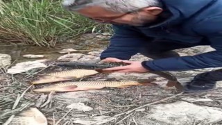 Kovada Gölünde kaçak avcılara 176 bin TL ceza uygulandı, ekipmanlara el konuldu