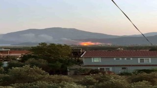 Köyceğizde sazlık alanda yangın çıktı