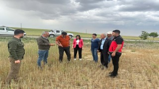 Kuluda kıraç arazilerde hasat yapılamayacak