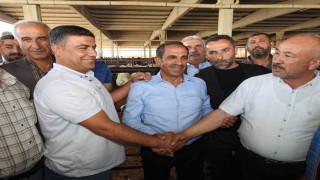 Kurban Bayramı öncesi hayvan pazarları hareketlendi