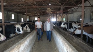 Kurbanlık alırken küpe ve ağırlık uyarısı