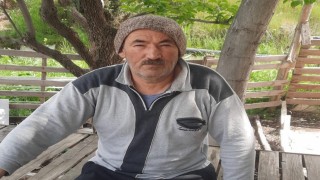 Kurt, kurbanlık kuzuları telef etti
