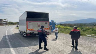 Kuşadasında hayvan hırsızlığına karşı sıkı takip