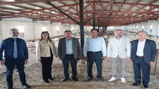 Kütahyada Pekin ördeği çiftliği