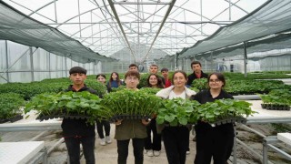 Lise öğrencileri 1 milyon fide üretimi hedefliyor