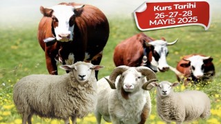 Malatya Büyükşehir Belediyesinden kurban kesim kursu