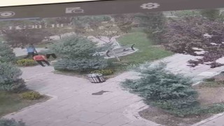 Mardinde ağaçlara zarar veren bir grup genç, güvenlik kameralarına yakalandı