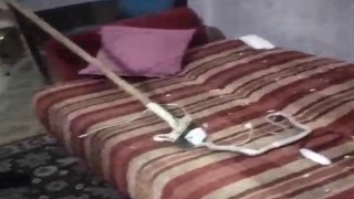 Mardinde evde yakalanan yılan doğaya salındı