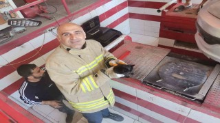 Mardinde otomobilin motor bölümüne sıkışan yavru kedi kurtarıldı