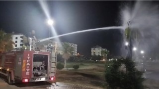 Mardinde palmiye ağacı ateşe verildi