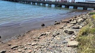 Marmara Denizinin Tekirdağ kıyılarında kızıl yosun birikintisi oluştu