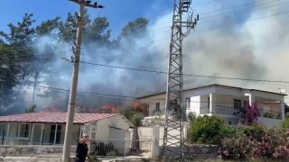 Marmariste orman yangını