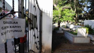 Marmariste vatandaşı canından bezdiren domuzlar, şimdi de mezarları tahrip etmeye başladı