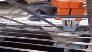 Mazgala sıkışan kediyi itfaiye kurtardı