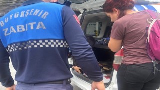 Menteşe otogarında sağlıksız tavuk döner ele geçirildi