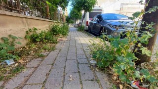 Mera değil Efelerin merkez mahallesi