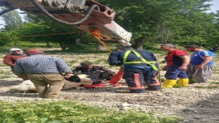 Mersinde 10 metrelik su kuyusuna düşen danayı itfaiye kurtardı