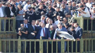 Milli Eğitim Bakanı Tekin, inci kefali göçünü izledi