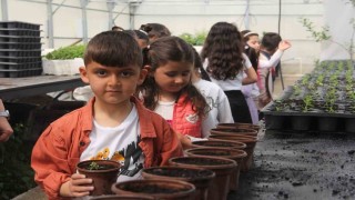 Minik öğrenciler seralarda doğayla buluştu