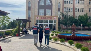 Motosikletle telef olan köpeği sürükleyen şahıs adli kontrolle serbest kaldı