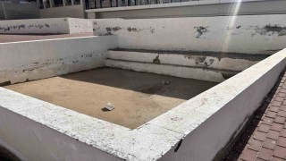Müminler Cennetül Muallaya koşuyor