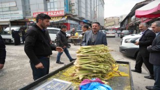 Muşta yayla muzu tezgahlarda yerini aldı