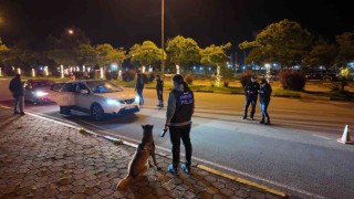 Narkotik köpeği ‘Pars zehir tacirlerine göz açtırmıyor