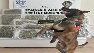 Narkotik köpeği Yaşa sayesinde 10 kilo esrar yakalandı