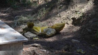 Naylon poşete sarıp Turgutlu mezarlığına attılar