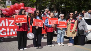Niğdede Aile Yılı yürüyüşü gerçekleştirildi