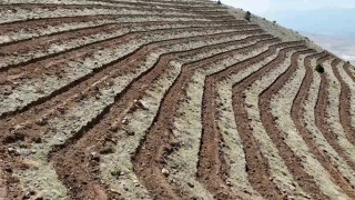 Niğdenin Himmetli Köyünde 100 hektarlık alanda ağaçlandırma yapılacak