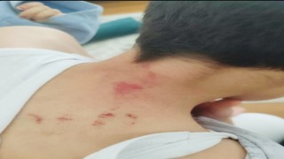 Öğrencisini darp eden öğretmen tutuklandı