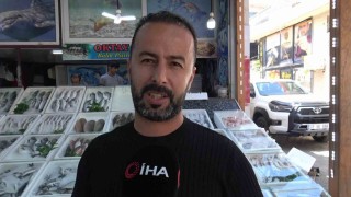 Oltasına takılan köpek balığı yavrusunu arkadaşına nispet yaparak denize bıraktı