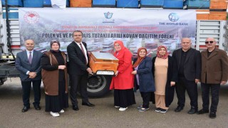 Orduda 48 üreticiye 2 bin 400 adet arılı kovan desteği verildi