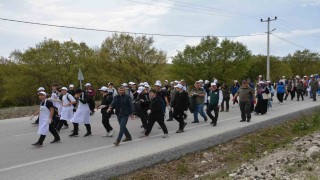 Orman Benim kampanyasıyla Kütahyada ormanlara sahip çıkıldı