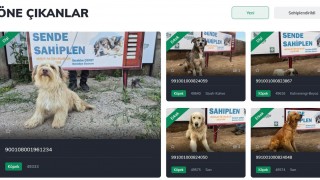 Osmaniye Belediyesi'nden Yenilikçi Hayvan Sahiplendirme Sistemi