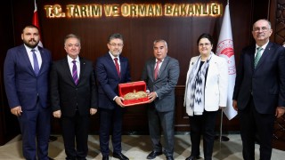 Osmaniye Ticaret Borsası'ndan Yer Fıstığı ve Mısır İçin Destek Çağrısı