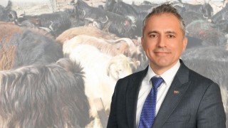 Osmaniye’de Kurbanlık Fiyatları Belli Oldu: Başkan Çenet’ten Açıklama