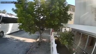 Otobüs şoförü sokak köpeğini ezdi