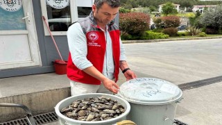 Otobüsün bagajında çöp kovasında taşınan 100 kilo midyeye el konuldu