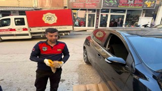 Otomobilin motor kısmına giren yavru kediyi itfaiye kurtardı