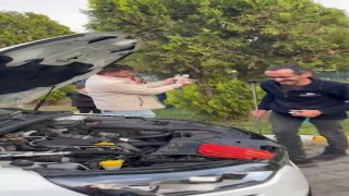 Otomobilin motoruna sıkışan yavru kedi kurtarıldı