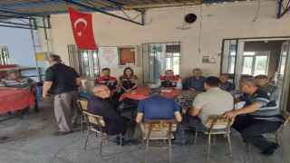 Pamuk ve zeytindeki zararlılarla mücadele yöntemi anlatıldı