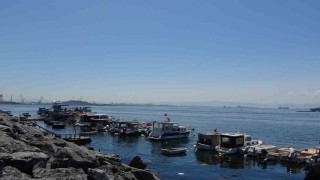 Pendikte balıkçılara sürpriz: Oltaya köpek balığı takıldı